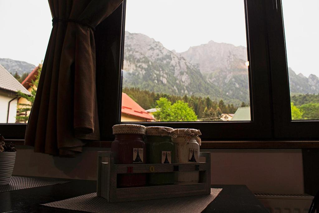 Apartament Mountain Life Buşteni Eksteriør bilde