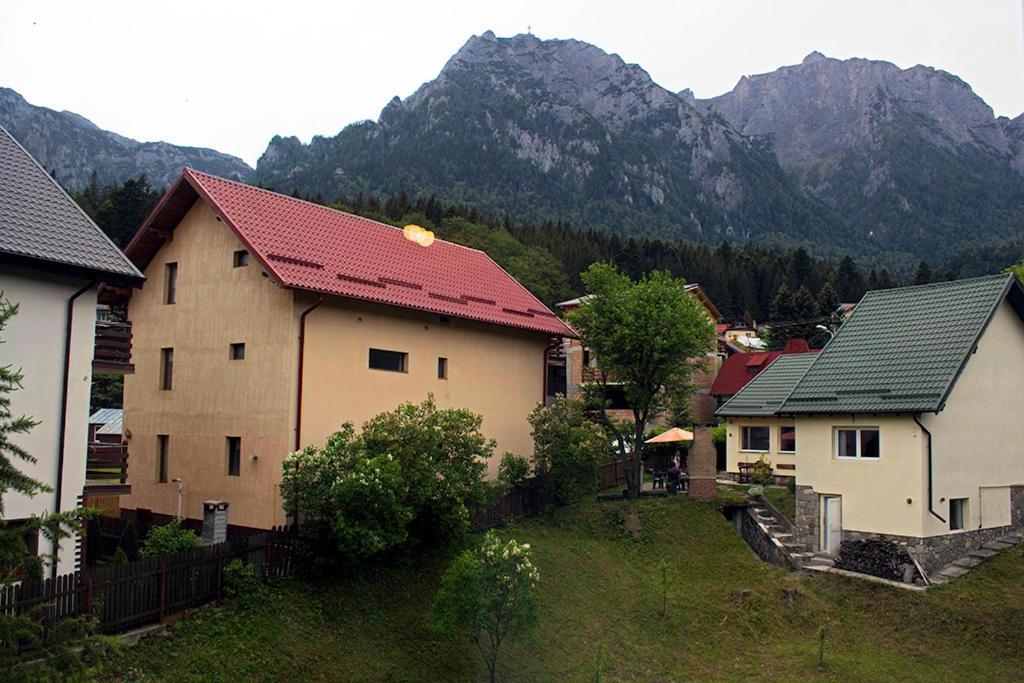 Apartament Mountain Life Buşteni Eksteriør bilde