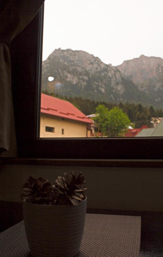 Apartament Mountain Life Buşteni Eksteriør bilde